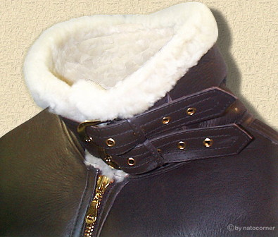 statt Schnupfen,Erkältung,Heiserkeit.......Kragen hoch und warm ist.....