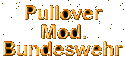 BW-Pullover in der Farbe oliv - der ist praktisch und sieht gut aus