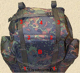 fleckobhibeige272x242k23.jpg (22915 Byte)