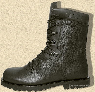 der Stiefel zum Wandern, Mopedfahren....oder Arbeiten