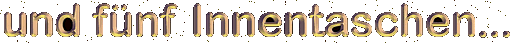 gegen allzu lange Finger -zwei verschlie�bare Innentaschen